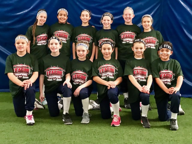 2018 10u silver dome champs fall